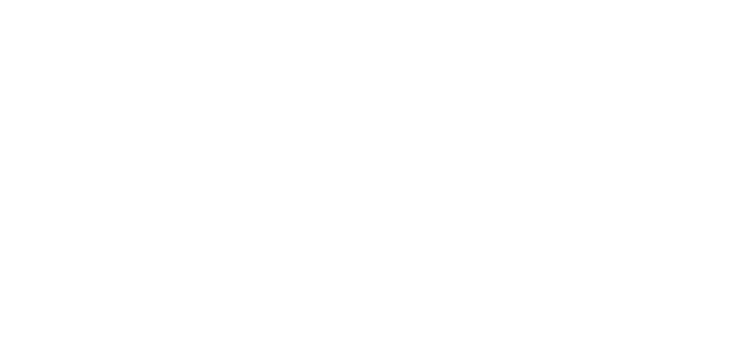 logo - Fernando Torquetti