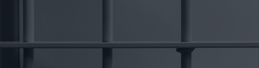 Pedidos na Execução Penal Pedidos na Execução Penal